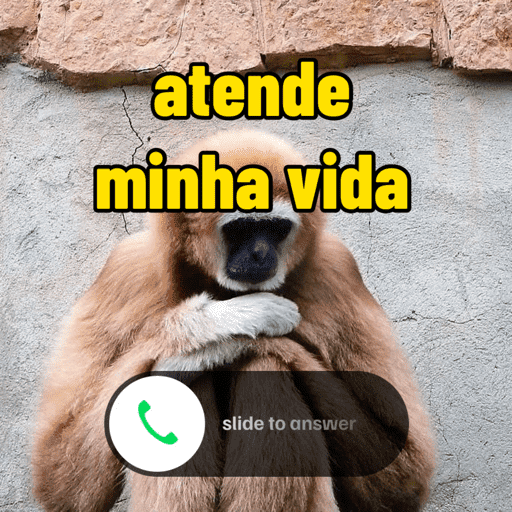 Memes variados 6