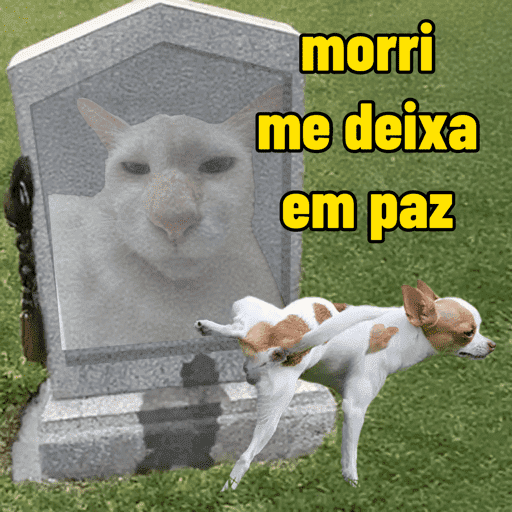 Memes variados 7