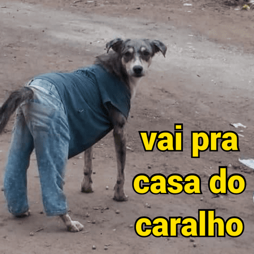 Me endoidaro 3