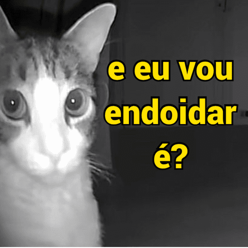Me endoidaro 5