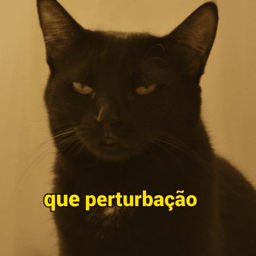 Me endoidaro 11