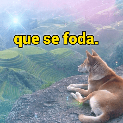 Me endoidaro 12
