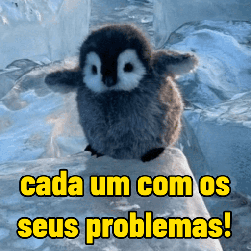 Pinguim 🐧 15