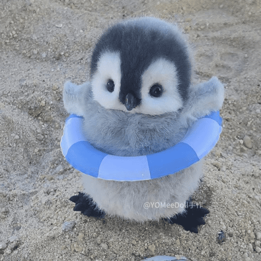 Pinguim 🐧 12