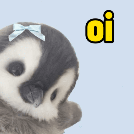 Pinguim 🐧 17