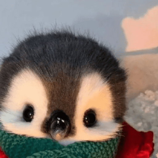Pinguim 🐧 16