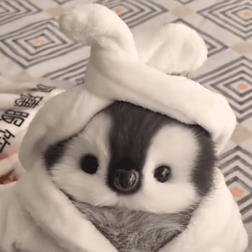 Pinguim 🐧 14