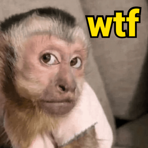 Monkey | macaco 🐒 1