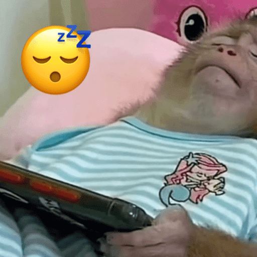 Macaco memes 12