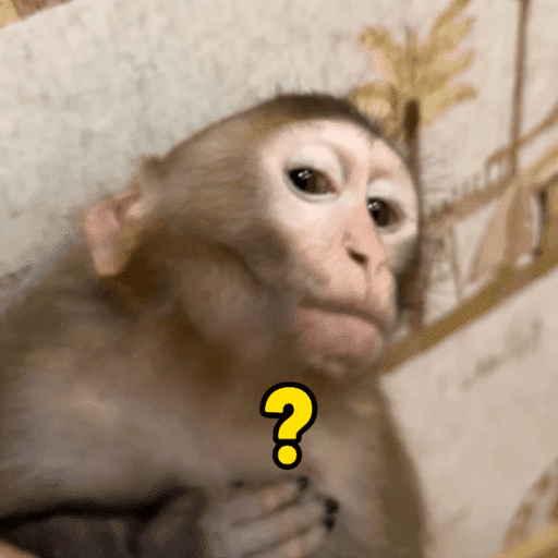 Macaco memes 14
