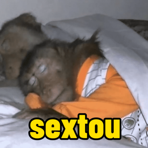 Macaco memes 13