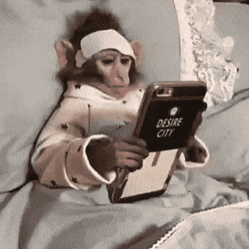 Macaco memes 11