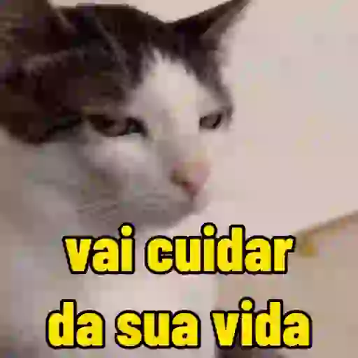 Reações  6