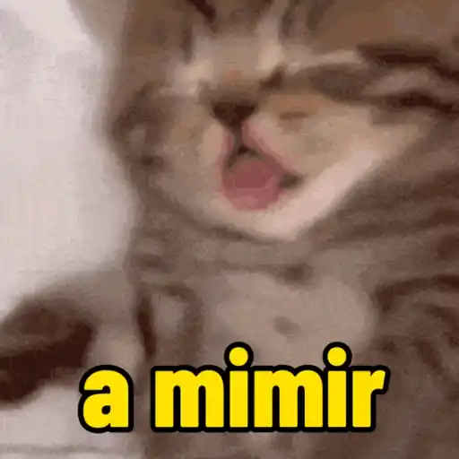 Reações  4