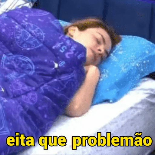 Memes bbb 26 9