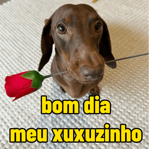 Cantadas | flertes | amor 👀❤️ 10