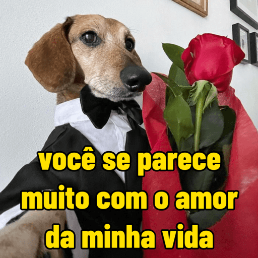 Cantadas | flertes | amor 👀❤️ 11