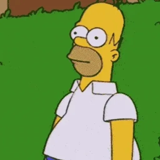 Homer simpson 1