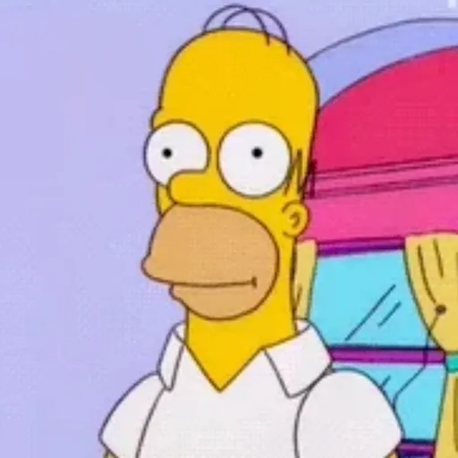 Homer simpson 6