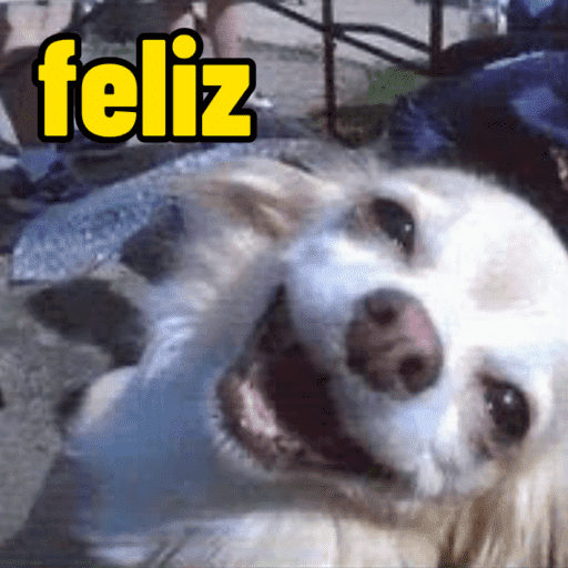 Feliz | happy | felicidade 16
