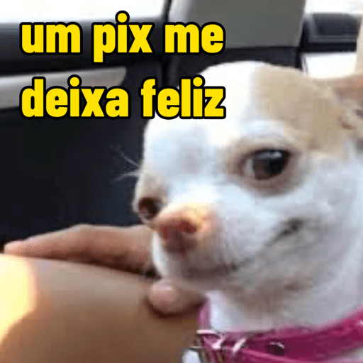 Feliz | happy | felicidade 8