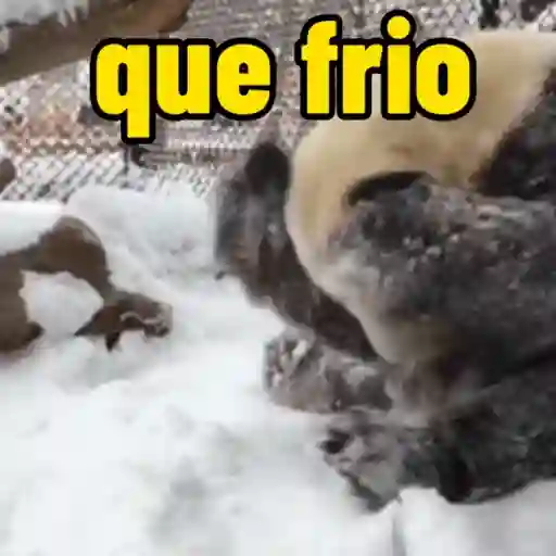 Que frio 🥶 | inverno ❄️ 4