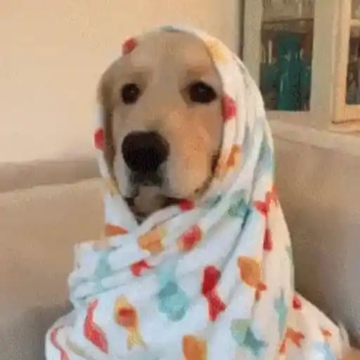 Que frio 🥶 | inverno ❄️ 1