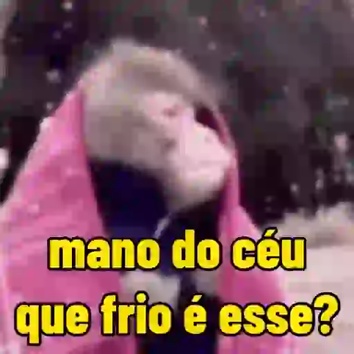 Que frio 🥶 | inverno ❄️ 12