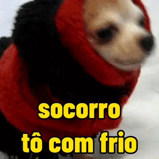 Que frio 🥶 | inverno ❄️ 10