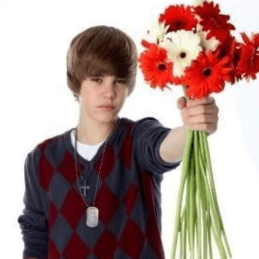 Memes Justin Bieber | JB 21