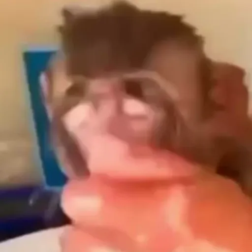 Macaco | monkey | mono 5