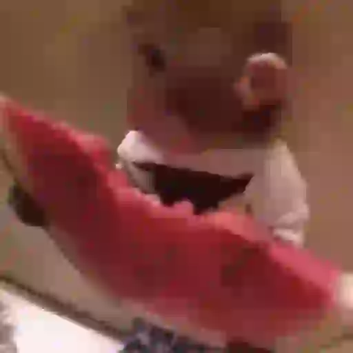 Macaco | monkey | mono 6