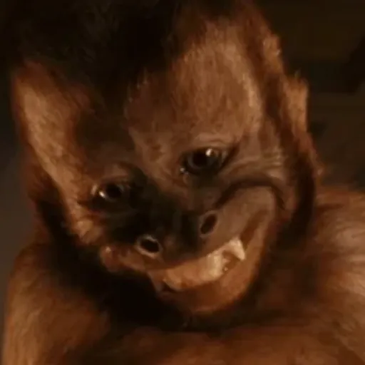 Macaco | monkey | mono 12