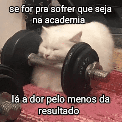 Bora treinar | academia  11