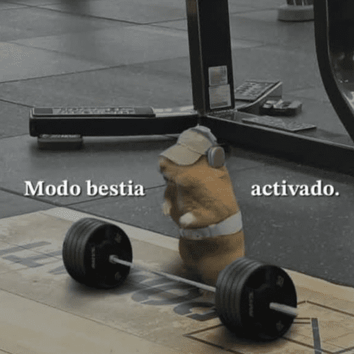 Bora treinar | academia  8