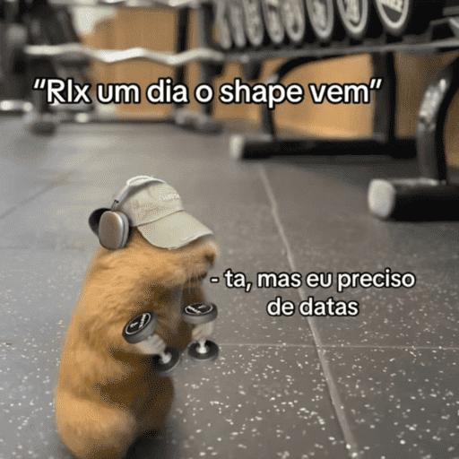 Bora treinar | academia  13