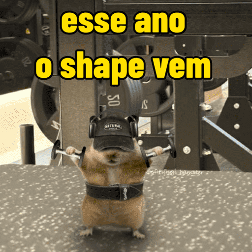 Bora treinar | academia  15