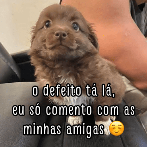 Para toda situação 