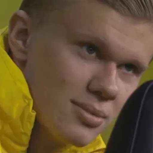 Erling Haaland 🇳🇴 12