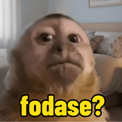 Memes e humor 13