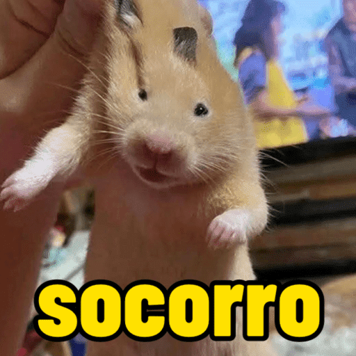 Memes e humor 15