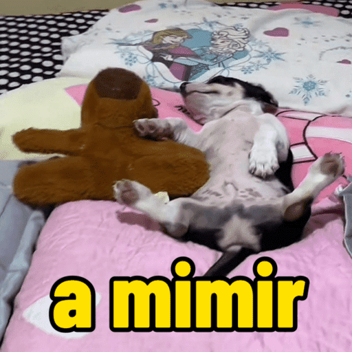 Memes e humor 11