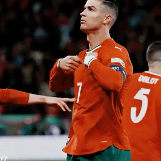 Cristiano Ronaldo | CR7 14