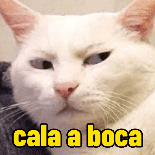 Memes de gato | cat 🐈 14