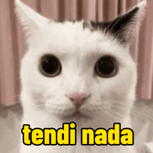 Memes de gato | cat 🐈 9