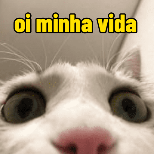 Memes de gato | cat 🐈 16