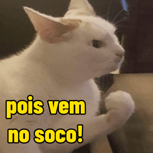 Memes de gato | cat 🐈 12