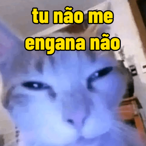 Memes de gato | cat 🐈 7