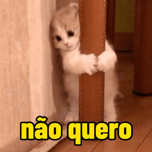 Memes de gato | cat 🐈 3