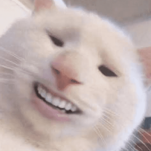 Memes de gato | cat 🐈 8